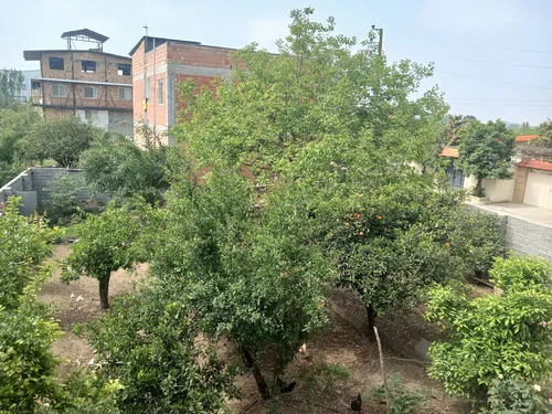 تصویر 9 - خانه مروارید در ساری