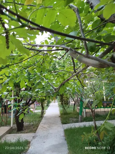 تصویر 4 - مهمانسرا زائرسرا در ایلام