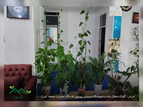 تصویر 4 - اقامتگاه بوم‌گردی بومگردی ناخدا در تنگستان
