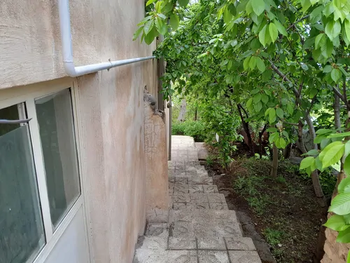 تصویر 19 - ویلا رجبی در  معلم کلایه