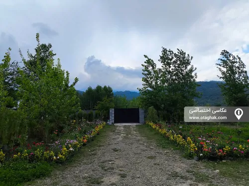 تصویر 26 - کلبه لوکس آیریس با جکوزی در  ماسال