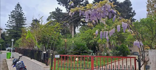 تصویر 9 - ویلا روان بخت در  دریاکنار
