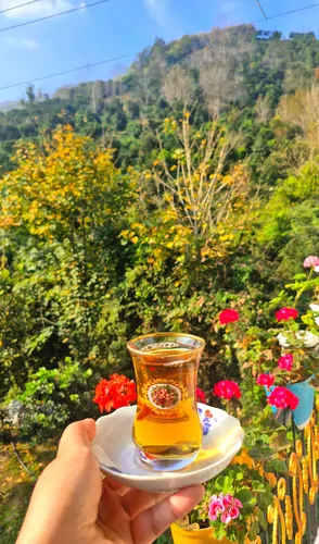 تصویر 34 - آپارتمان مبله افرا در  املش