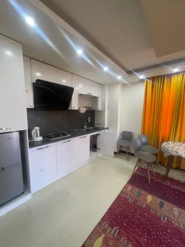 تصویر 3 - آپارتمان مبله طبیعت (402) در  رینه