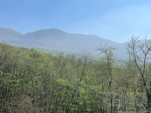 تصویر 19 - ویلا استخردار آبگرم جنگلی آوان در بهشهر