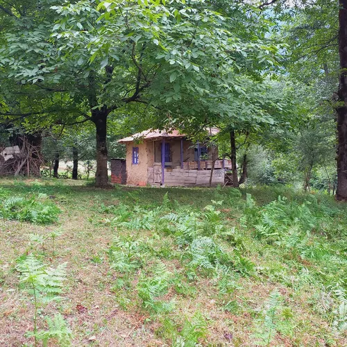 تصویر 2 - کلبه میه کومه  در آستارا