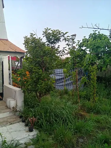 تصویر 4 - ویلا چشم انداز مرداب و جنگل در آستانه اشرفیه