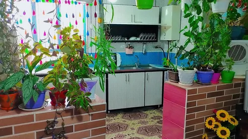 تصویر 5 - خانه ویلایی زولان جنگل ابر در  شاهرود