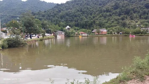 تصویر 23 - کلبه استخردار مهراد با جکوزی در ماسال