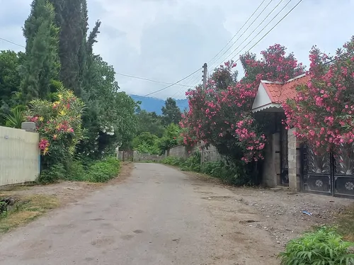 تصویر 25 - ویلا باغ جنگلی در  ماسال