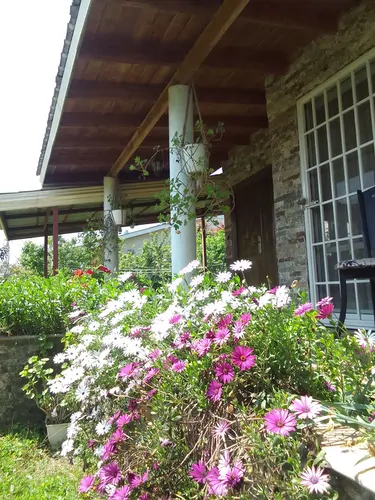 تصویر 17 - ویلا شعبانی (6) در  نشتارود