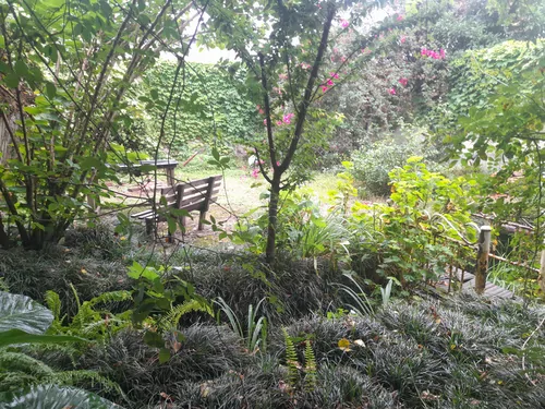 تصویر 2 - ویلا باغ ویلا در سرخ رود