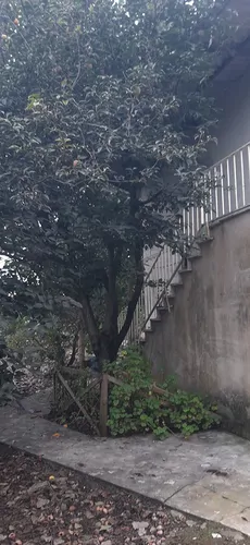 تصویر 2 - ویلا اقامتگاه چشمه در فرح آباد