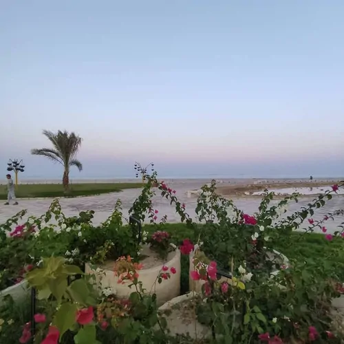 تصویر 17 - سوییت مبله ساحل (1) در  قشم