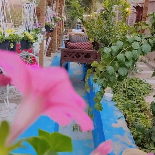 تصویر 2 - اقامتگاه بوم‌گردی باغ بوم گردی حرفه ای شهداد در شهداد