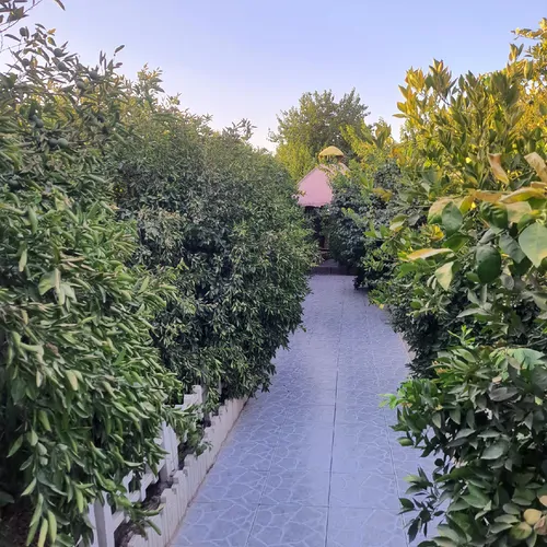 تصویر 17 - ویلا استخردار آبسرد مهتاب طلایی در  دزفول
