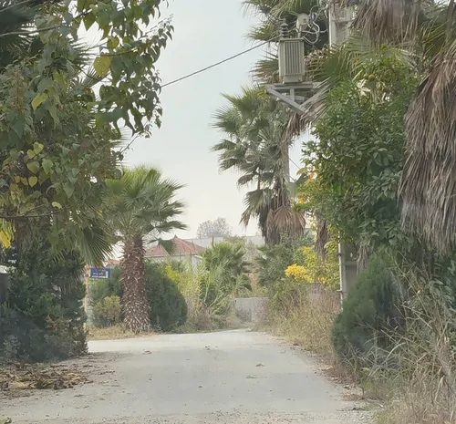 تصویر 14 - کلبه سوئیسی ماهون در  آمل