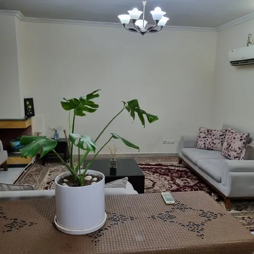 تصویر 4 - آپارتمان مبله هانیک در  شیراز