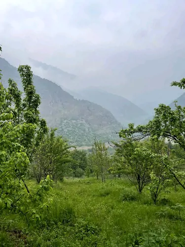 تصویر 14 - کلبه توکا در علی آباد کتول