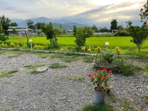 تصویر 11 - کلبه چوبی سورنا در  ماسال