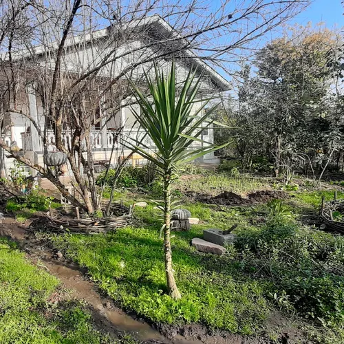 تصویر 16 - ویلا جنگلی پارسا در  ماسال