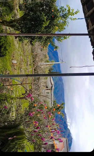 تصویر 2 - ویلا ویلایی .سنتی .حیاط دار.باغی در چابکسر