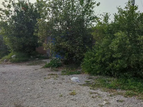 تصویر 5 - ویلا ویلایی بهار 2 در  تنگستان
