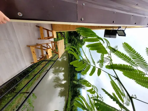 تصویر 2 - کلبه اقامتگاه ایرن😍 در ماسال