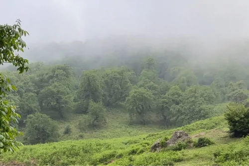 تصویر 27 - کلبه جنگلی هفته چشمه با جکوزی (طبقه 2) در  رضوانشهر