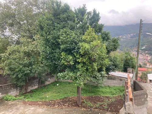 تصویر 3 - ویلا خانه باغ امیر جان در زیراب