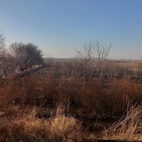 تصویر 5 - اقامتگاه بوم‌گردی باغ ویلایی طهورا  در  شهربابک