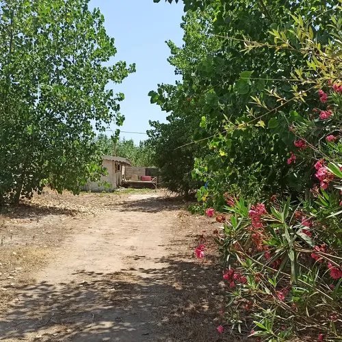 تصویر 3 - ویلا یک خواب دربست براول ساحل  در زیبا کنار
