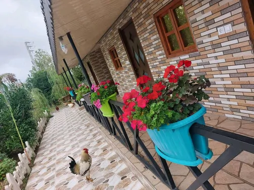 تصویر 3 - ویلا جکوزی دار نیکان در ساری