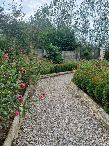 تصویر 16 - کلبه ماه سو در  سوادکوه