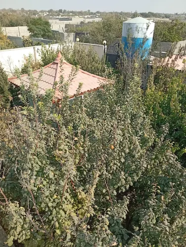 تصویر 23 - ویلا استخردار آبگرم رز در  ملارد 