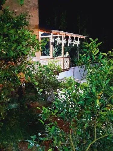 تصویر 15 - کلبه کندوج (۱) در  لاهیجان