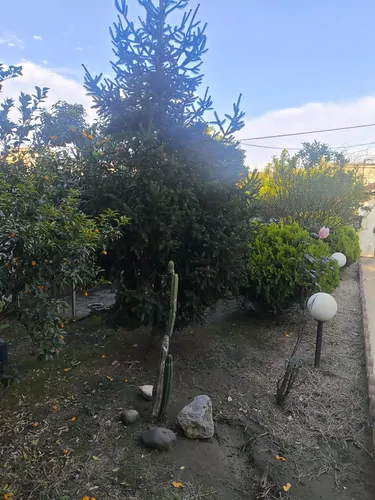 تصویر 17 - ویلا استخردار آبگرم کاسپین با بیلیارد و فوتبالدستی در سرخ رود