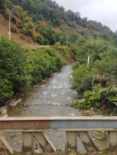 تصویر 10 - ویلا جنگلی فاطمه در  ماسال