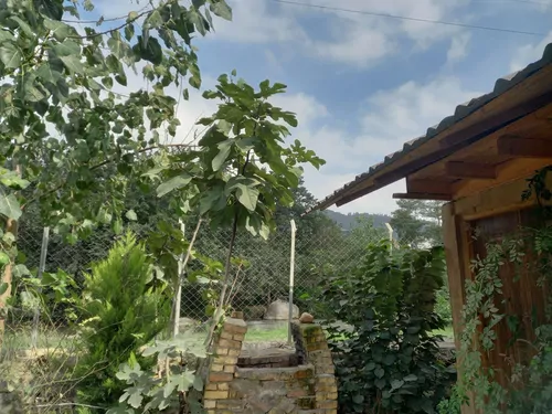 تصویر 16 - خانه روستایی طبیعت در  سوادکوه