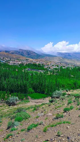 تصویر 17 - خانه ویلایی زولان جنگل ابر در  شاهرود