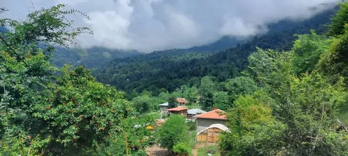 تصویر 12 - کلبه آرامش (2) در  ماسال