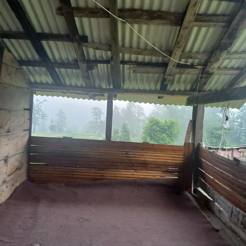 تصویر 13 - کلبه چوبی پدر  در  ماسال
