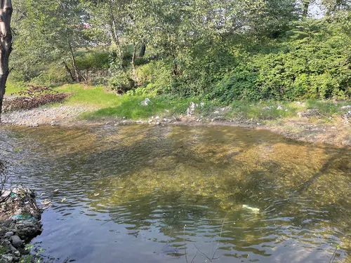 تصویر 12 - ویلا توسکای سبز در  ماسال