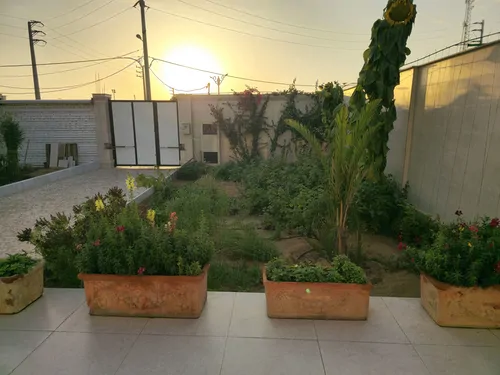تصویر 9 - ویلا استخردار امیر خواجه گانی در  دشتستان