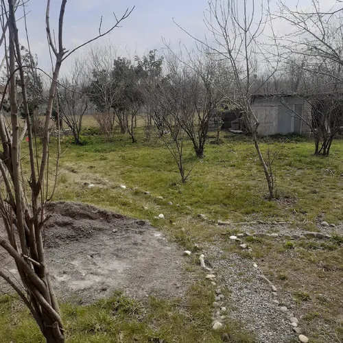 تصویر 15 - کلبه سوئیسی جاکو  در  رشت