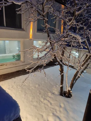 تصویر 14 - ویلا استخردار سرپوشیده آبگرم با ایرهاکی در  فشم