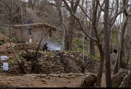 تصویر 2 - ویلا توریستی گلستان در قلات