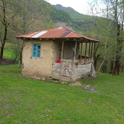تصویر 3 - کلبه کلبه جنگلی  در آستارا