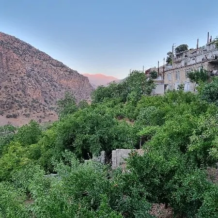تصویر 5 - خانه خانه اجاره ای در  پاوه