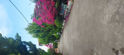 تصویر 2 - ویلا ویلای شهرکی آرام و امن مناسب خانواده در آمل